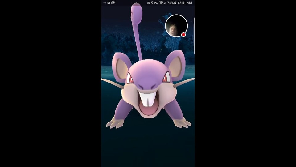  The Pokemon fan had just caught a wild Rattata