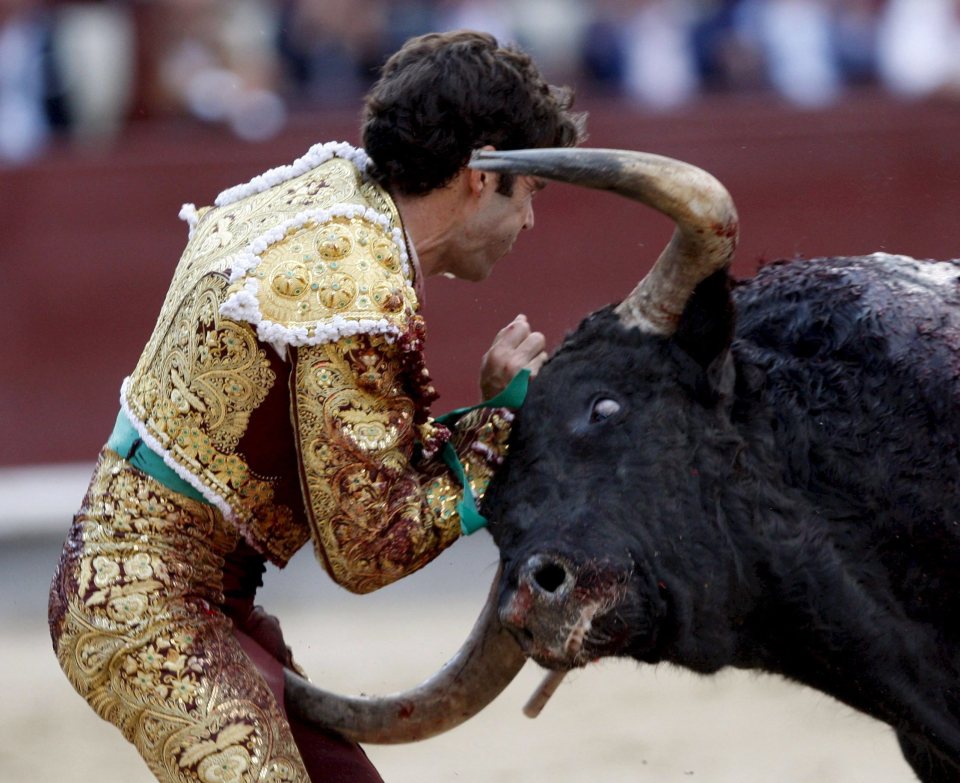  He was gored by the second bull of the evening during the bullfight at the Las Ventas bullring