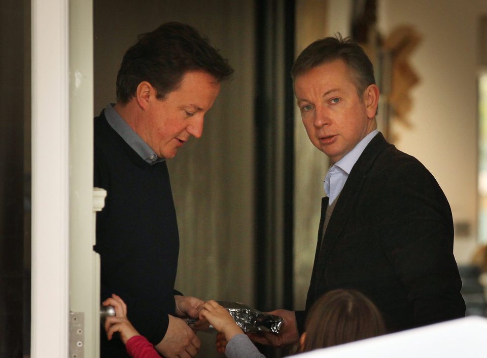  She views the actions of Gove, pictured here in 2008 with Cameron, to replace her husband as 'treacherous'