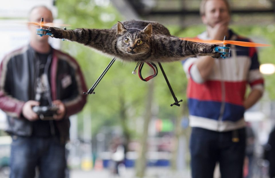  The Dutch artist first made a name for himself after turning his dead pet into a functioning drone