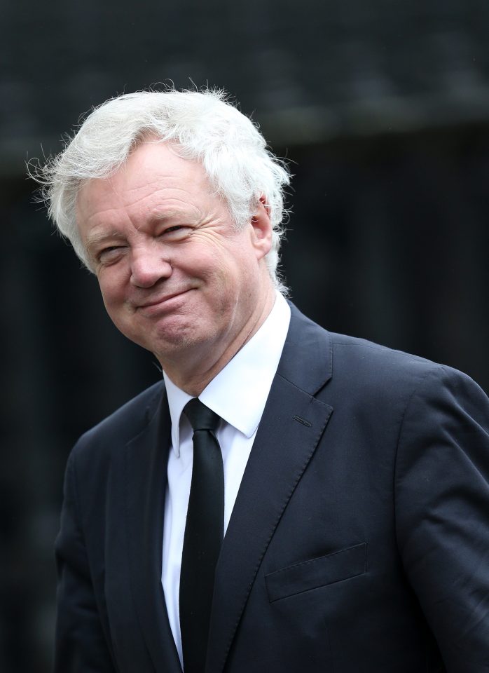  David Davis said Leadsom was ’too inexperienced’ for the top job