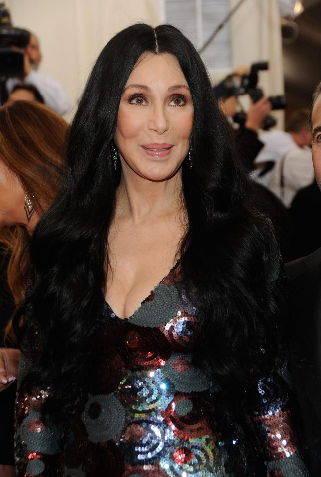  Cher shared her unhappiness with the new Foreign Secretary on social media, calling him a liar