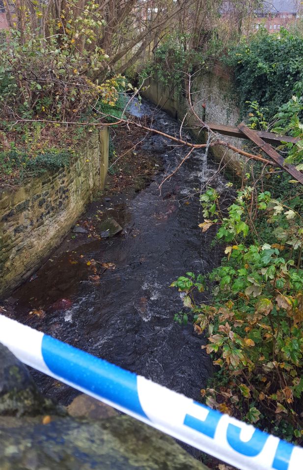  Carrie was found face up in Porter Brook after slipping down a steep embankment