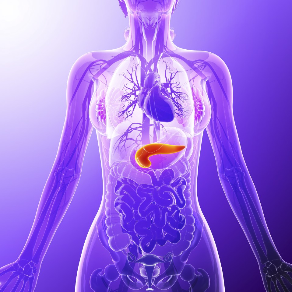  The artificial pancreas would allow a blood monitor and insulin pump to keep in constant contact adjusting hormone levels accordingly