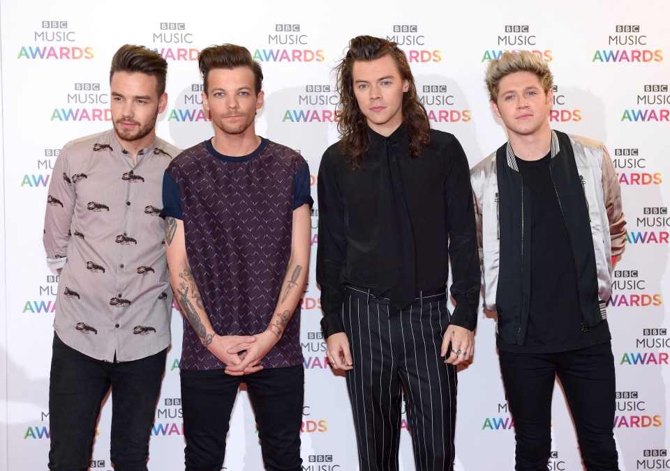  Niall has become a megastar thanks to One Direction