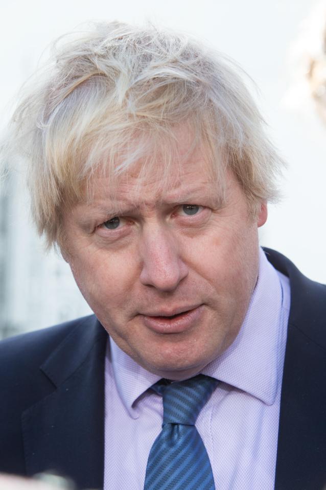  Boris is reportedly 'devastated' by Gove's actions and feels he has been stabbed in the back by his 'friend'