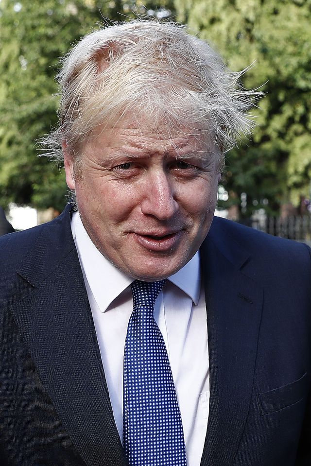  Former London mayor Boris Johnson campaigned to see the UK force a Brexit