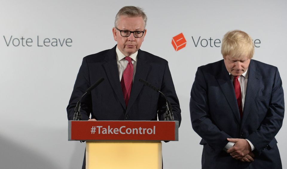  Michael Gove, left, is accused of knifing Johnson in the back and causing him to abandon his plans to run for leadership