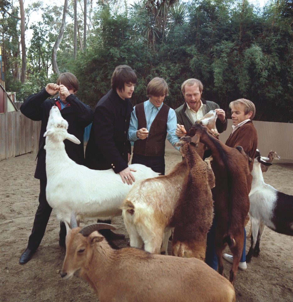  Heavy petting... band promoting the Pet Sounds album