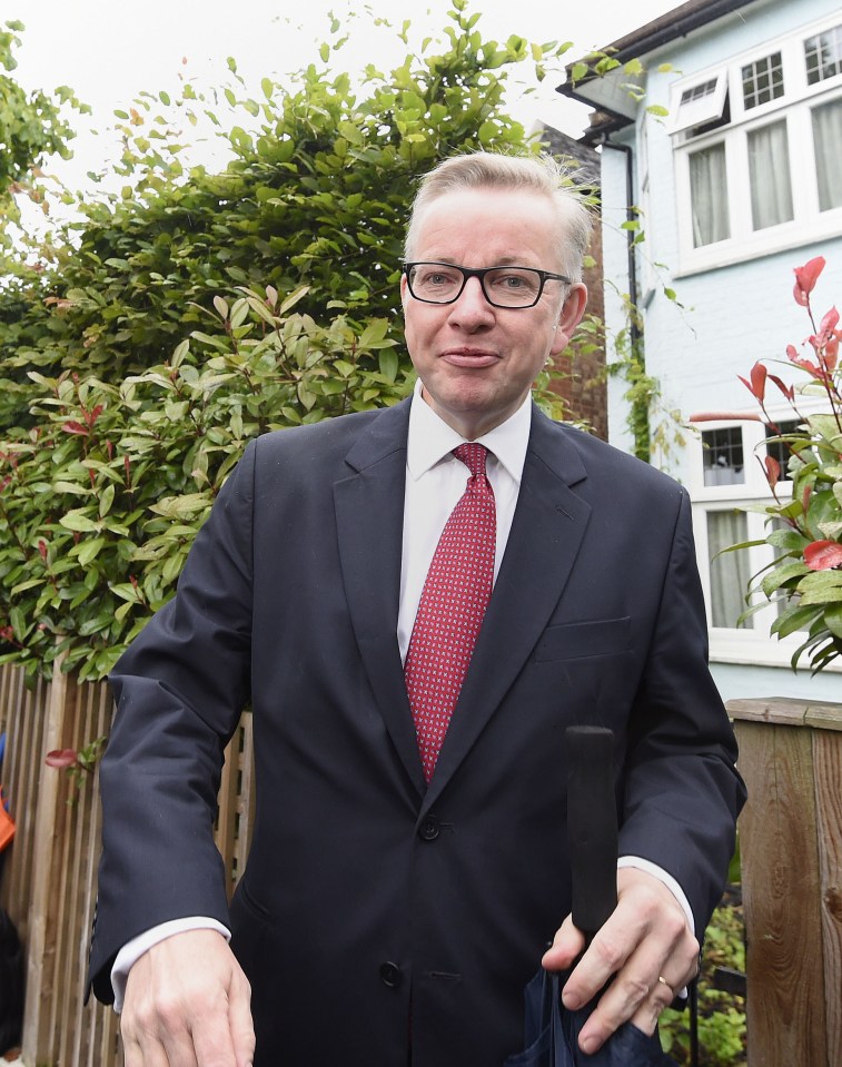  Michael Gove has repeatedly tried to phone Boris after destroying his pal's hopes of becoming the next PM