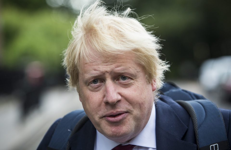  Blonde ambition ... did BoJo's hair colour help secure his place in Mrs May's cabinet