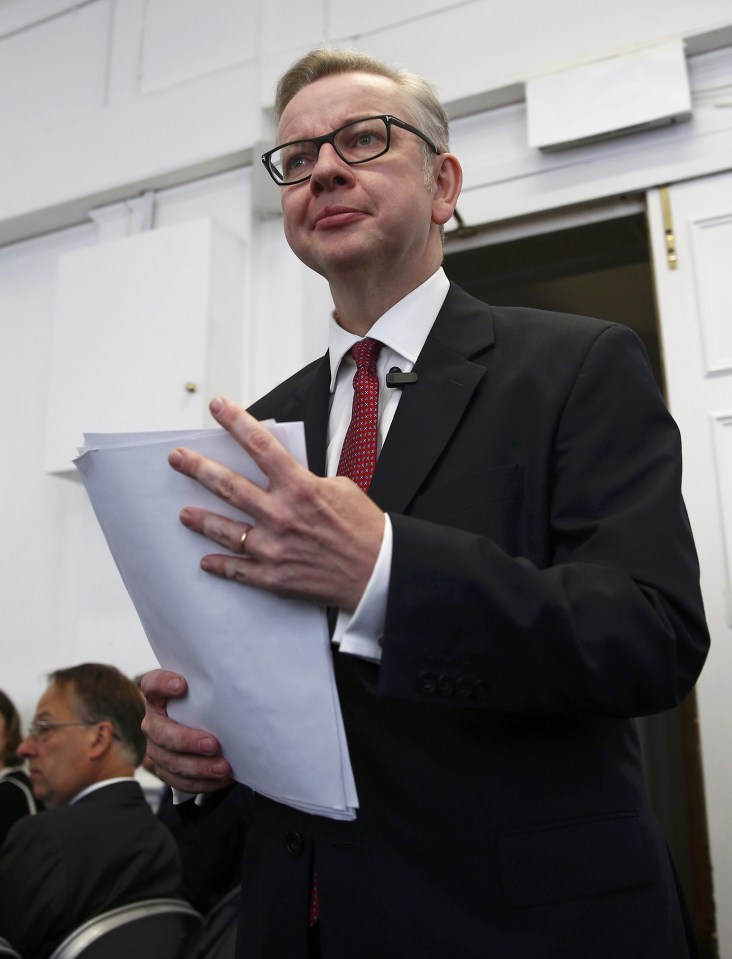  Michael Gove says the next Prime Minister needs to be someone who believes in leaving the European Union