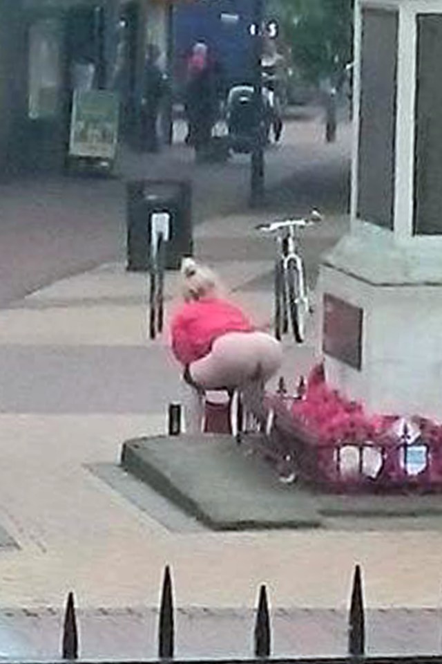  Vile ... Picture shows a woman squatting over poppies at town's war memorial