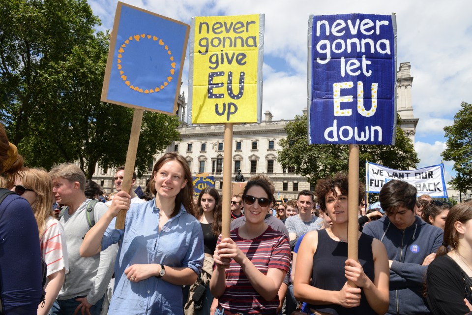 some of the 30,000 pro-EU marchers at yesterday's demonstration