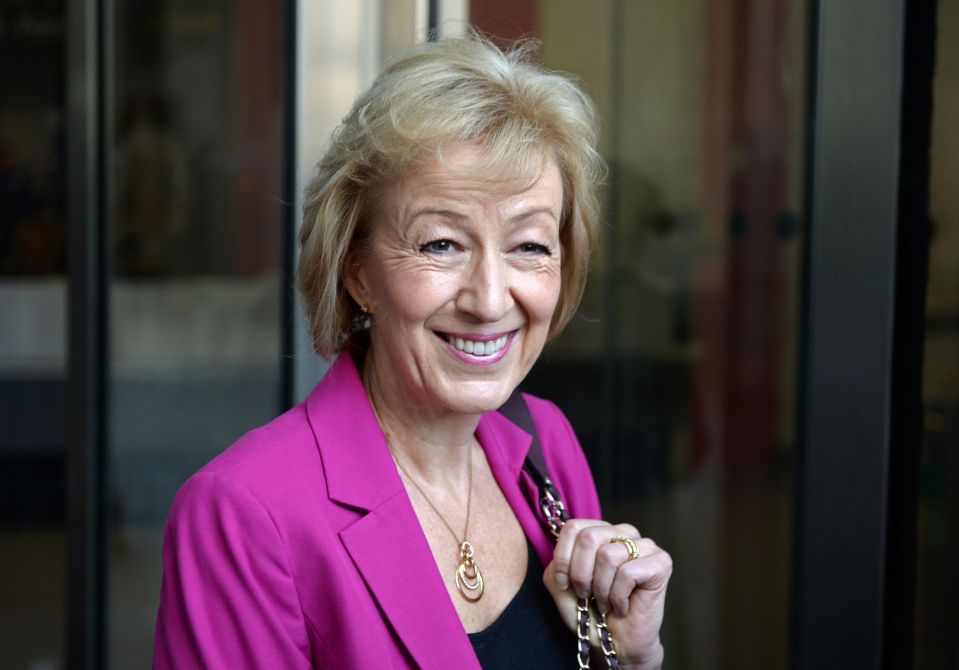  Conservative party leadership candidate Andrea Leadsom is hoping the backing of Boris Johnson will boost her support among her fellow MPs