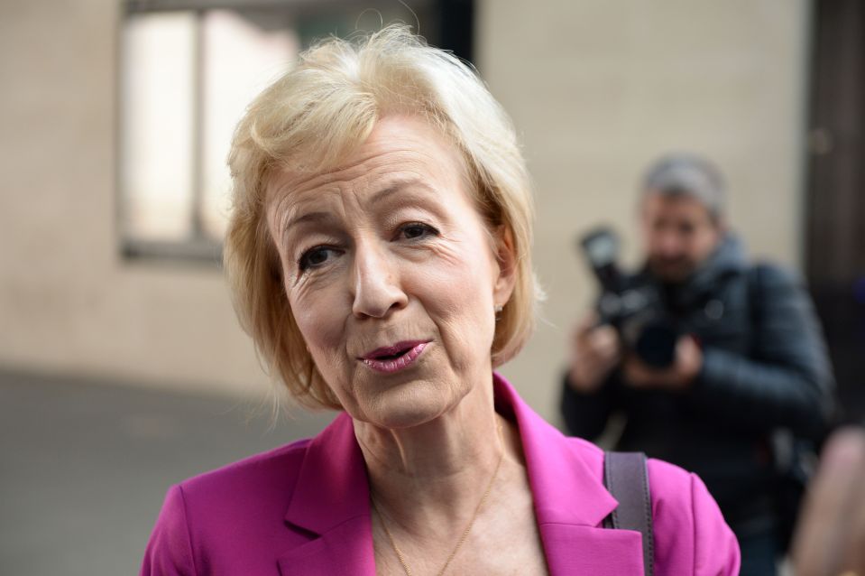  Conservative Party leadership candidate Andrea Leadsom, who campaigned for Leave, has condemned the calls for a "coronation"