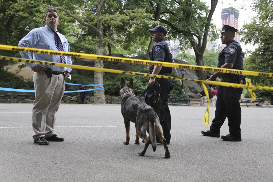  Cops used sniffer dogs to check for further explosive devices