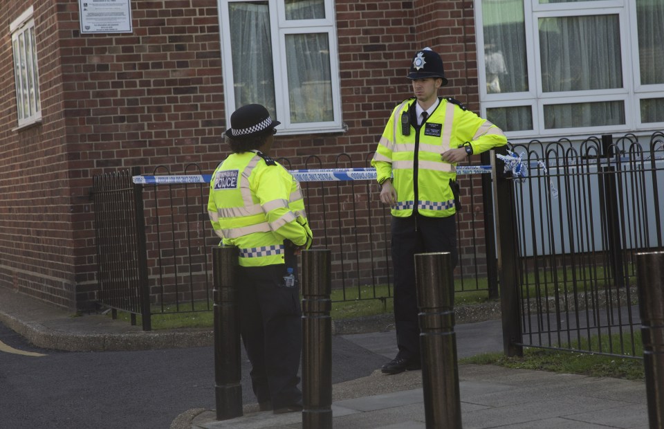  Met Police were first to arrive on scene where officers gave CPR to the lad, but his injuries were too severe