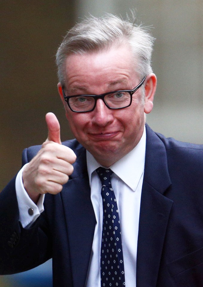  Michael Gove hopes Tory MPs will back him to be the next leader of their party