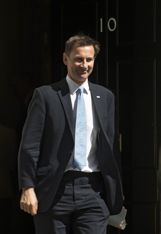  Former Health Secretary Jeremy Hunt ... though not directly named, Mr Boyle alleged the Tory wanted to cut NHS section