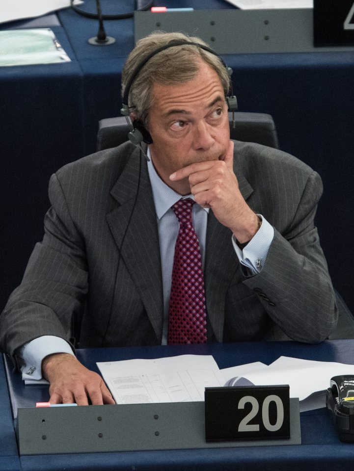  What next for former Ukip leader Nigel Farage?