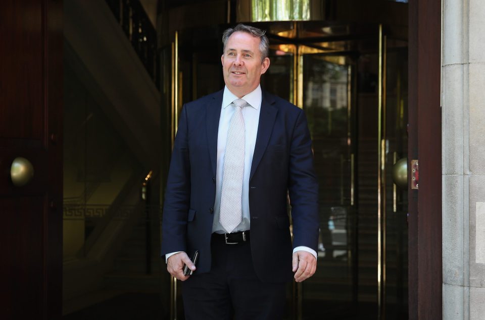  Liam Fox says it's important to set a timetable for Brexit so people know what is happening to the country, no matter which way they voted on June 23