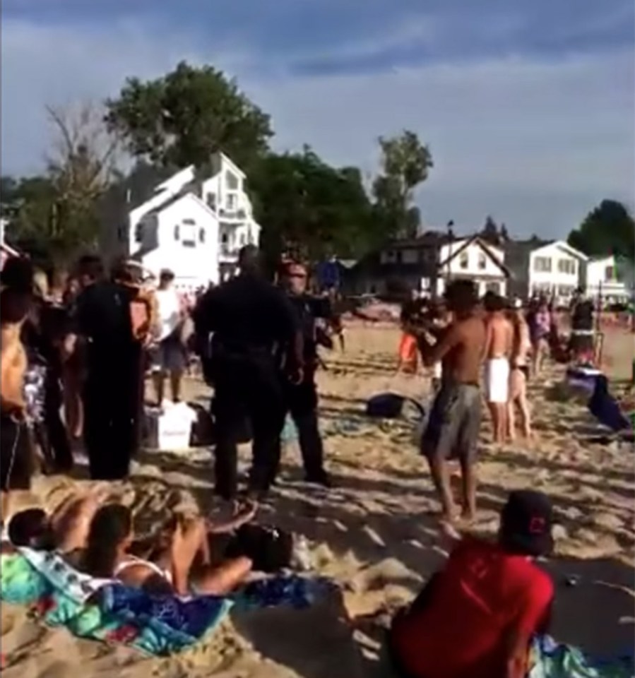 Police use pepper guns on beach revellers