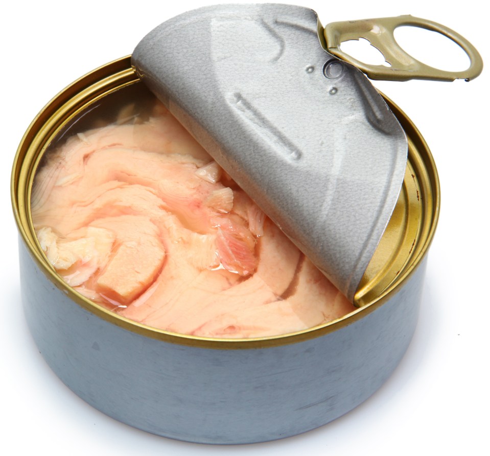 canned tuna