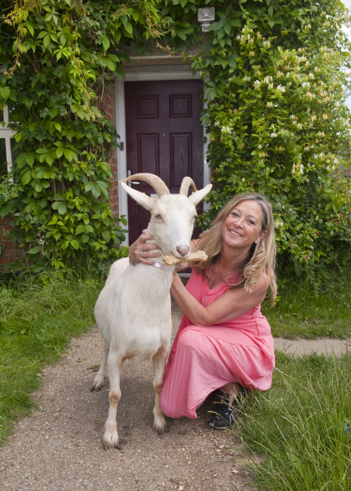  Instead she got acquainted with a goat named Catherine