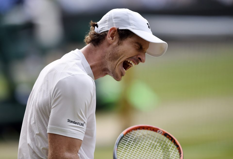 Murray roars with frustration as Tsonga fights his way back into the match