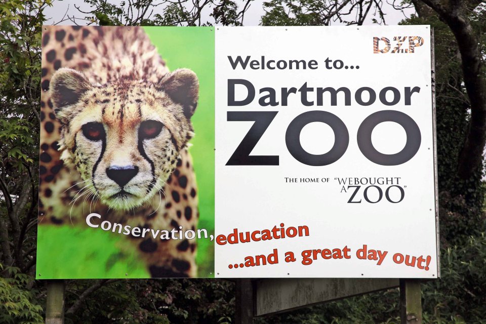  Keepers at Dartmoor Zoo realised the lynx had escaped on Thursday morning and raised the alarm