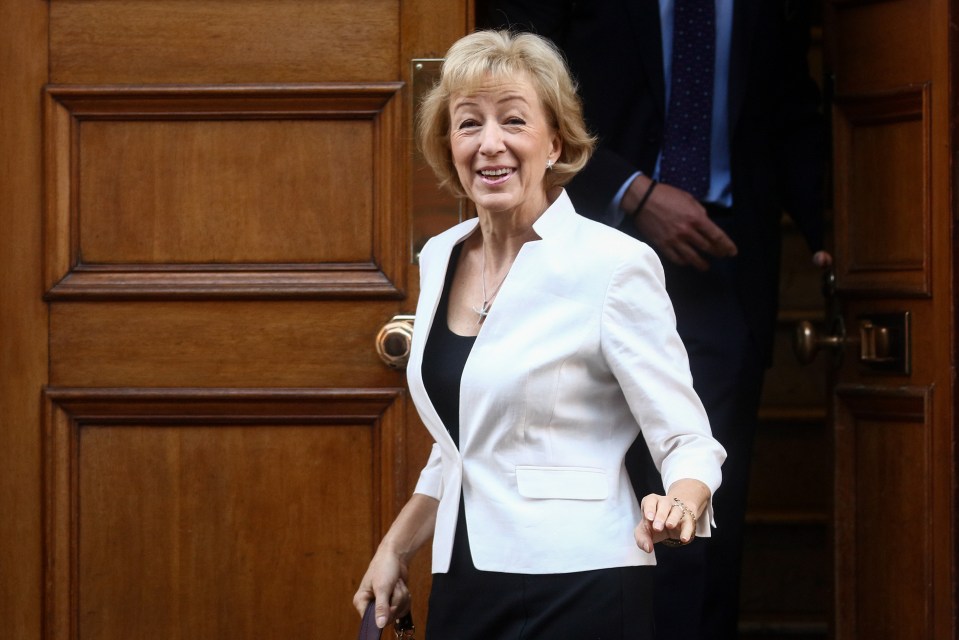  Andrea Leadsom’s campaign manager agreed, saying she was being targeted because she was pro-Brexit