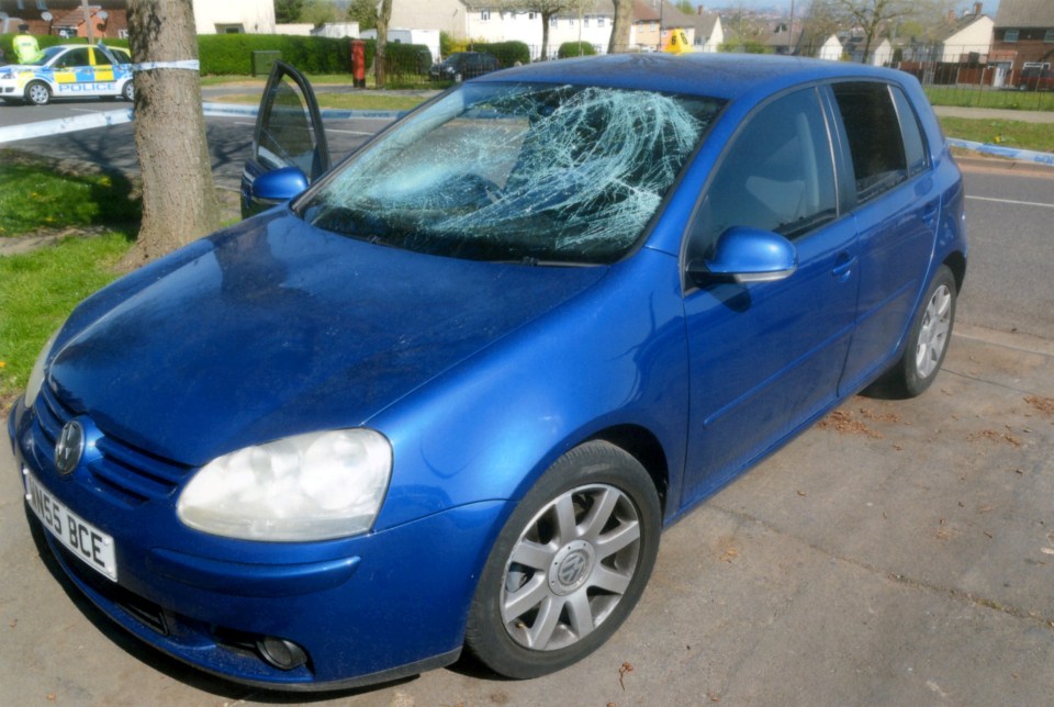  Steven smashed Davies's car windscreen and Meaker stabbed her before the trio fled