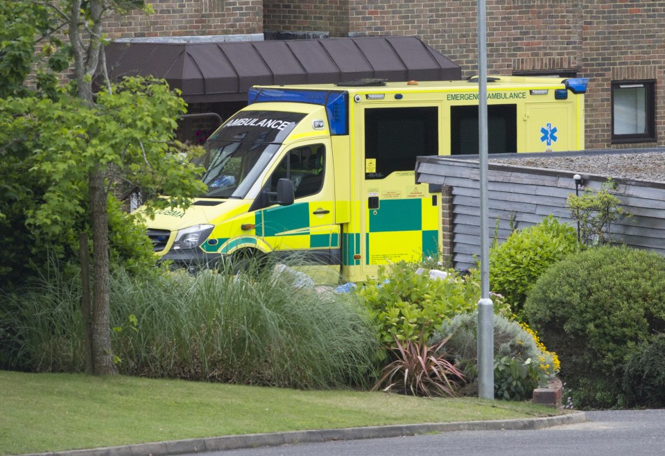  Call-outs ... ambulances rush to Gazza's house for three consecutive days