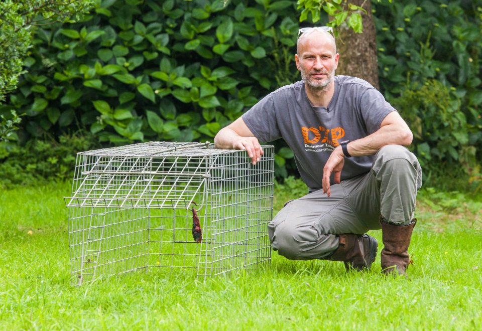 George Hyde, operations manager at the zoo, said the lynx has "shown interest" in the traps but still evaded capture