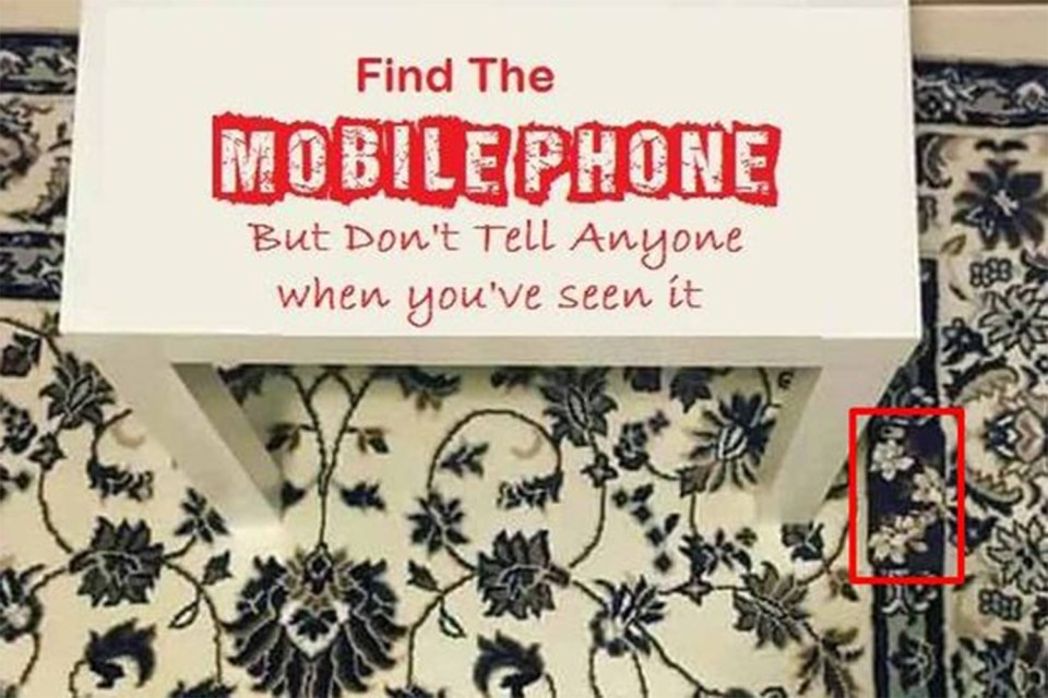  When you look closely it's possible to spot the hidden phone