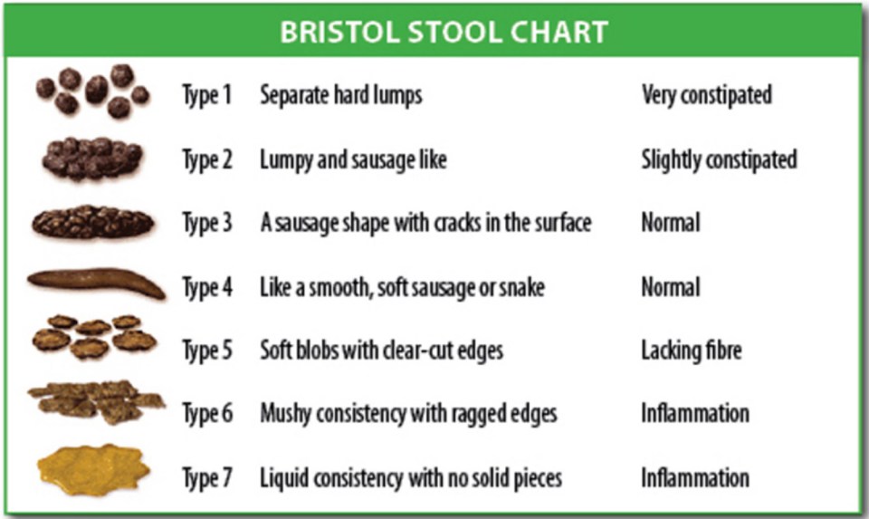 The Bristol Stool Chart