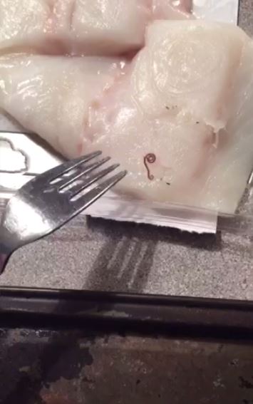  Horror ... letting agent Olivia was shocked to find a worm alive in her cod