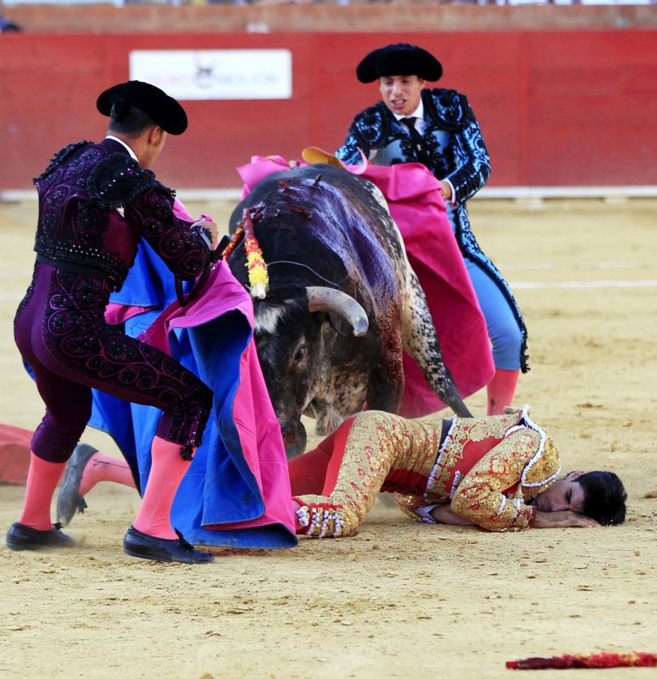  He is the first professional Spanish bullfighter to be gored to death in 30 years