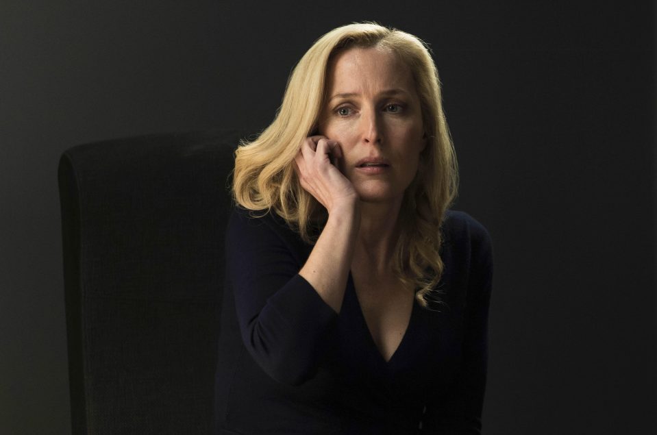  Here is the first look at GILLIAN ANDERSON as DS Stella Gibson in the new series of The Fall