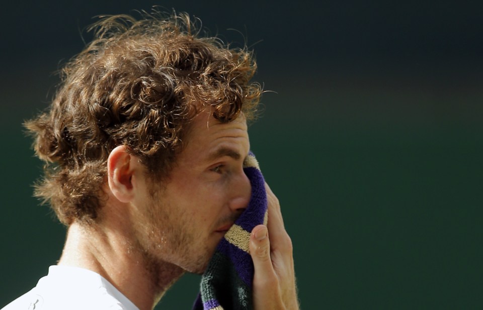  The Brit wipes away a tear from his eye after his second Wimbledon title