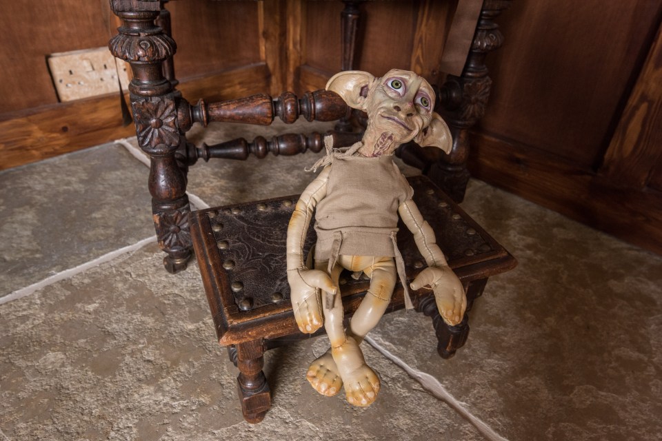  There's even a Dobby the House Elf