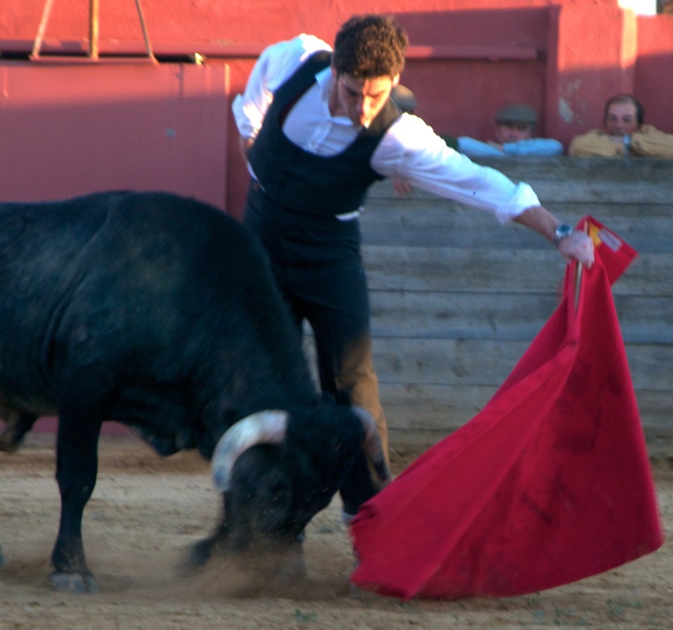  Alexander trained to be a matador as research for a book about the controversial sport