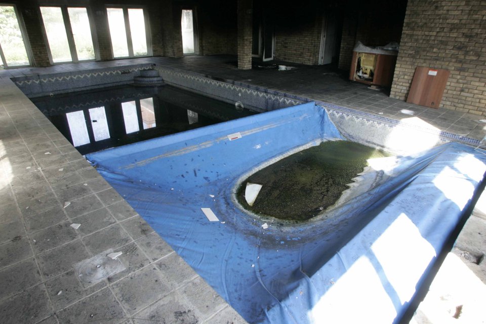  A shot of the swimming pool Mickey had installed