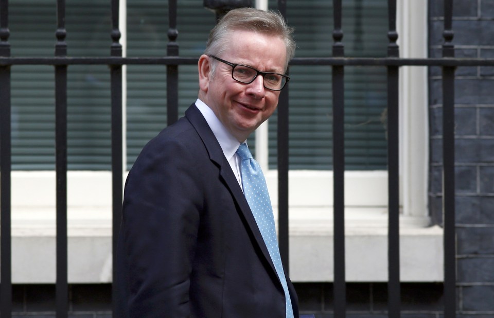  Michael Gove will not have the chance to complete his prison reform programme after being fired by Theresa May