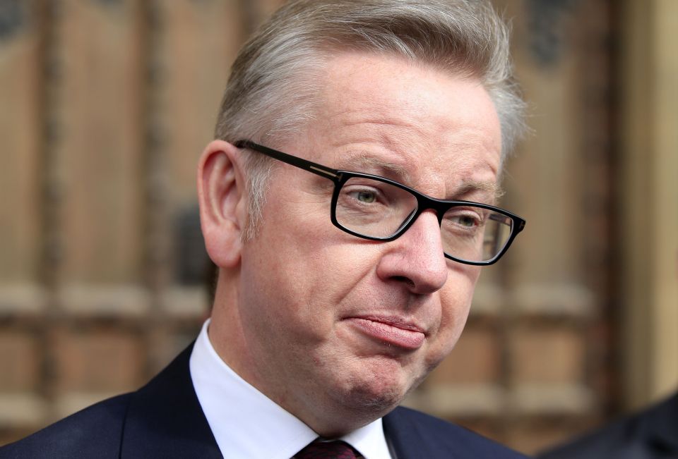  How to get a head in politics ... Michael Gove laments his lack of blonde locks