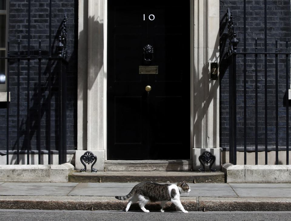  Theresa May's office confirmed Larry the cat would still be staying on as Chief Mouser after the Cameron's depart