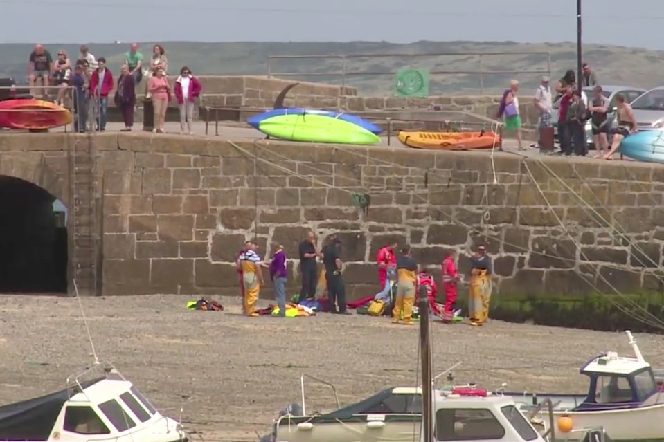  She fell 15 feet after a seagull lunged at her while she was eating an ice cream and she dropped off the wall