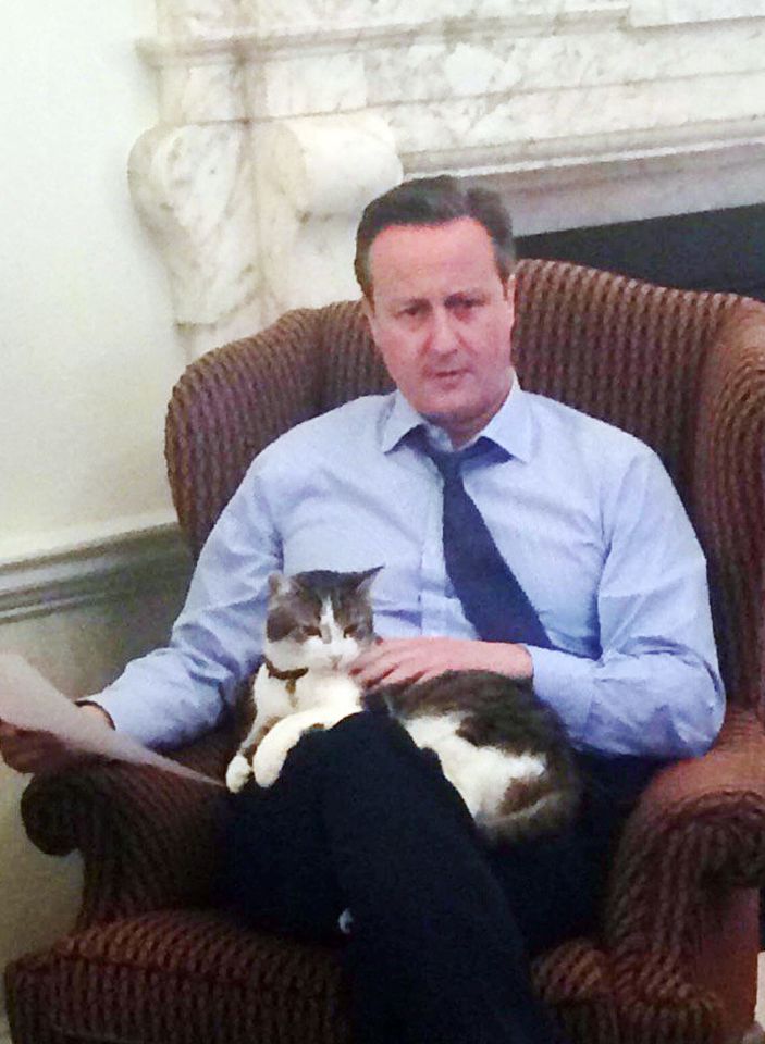  David tweeted the picture of himself with the Chief Mouser to the Cabinet Office