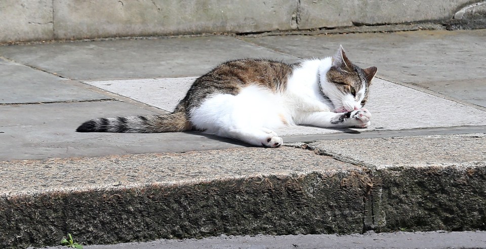  Larry rules the roost at Number 10